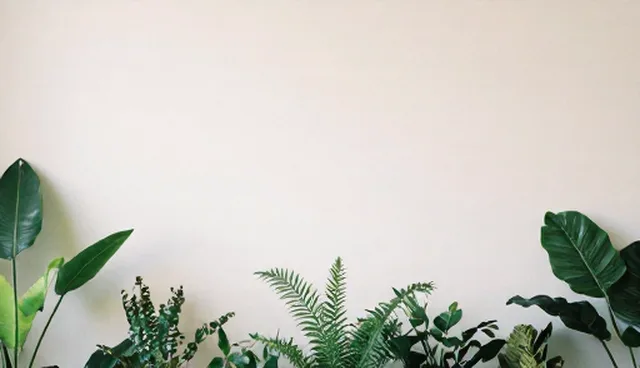 如何选择合适的技术外包服务？